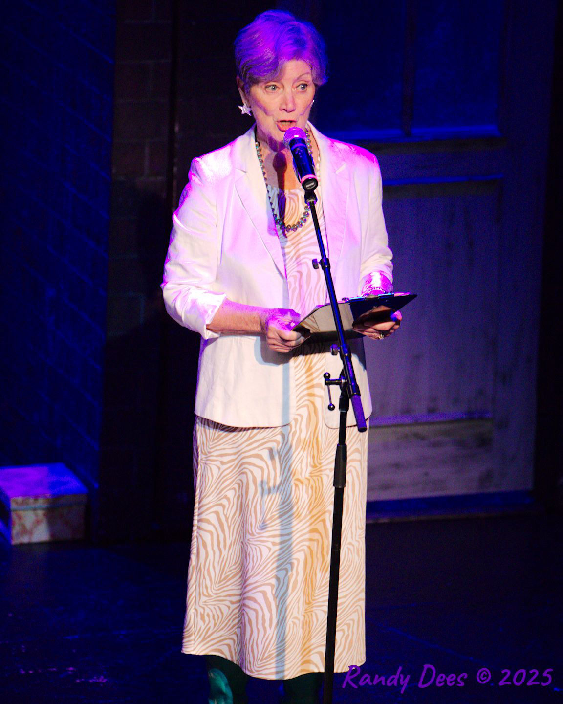 Stars Over Wimberley