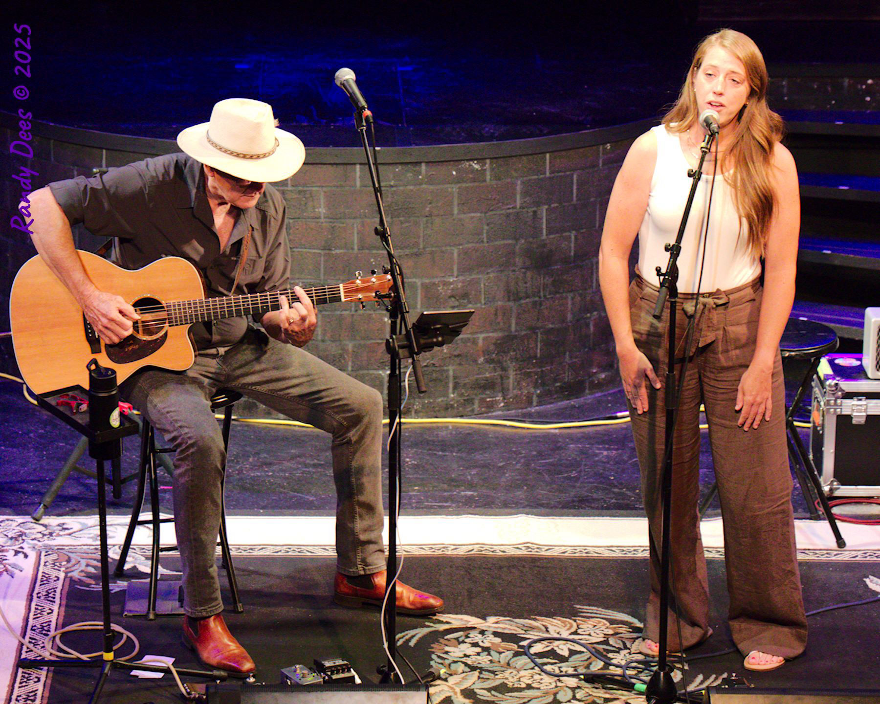 Stars Over Wimberley