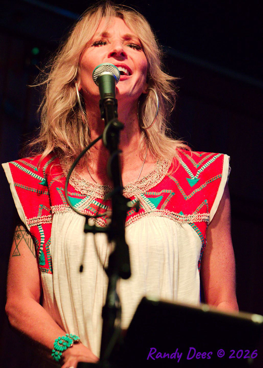 Sister Golden Hair the Band