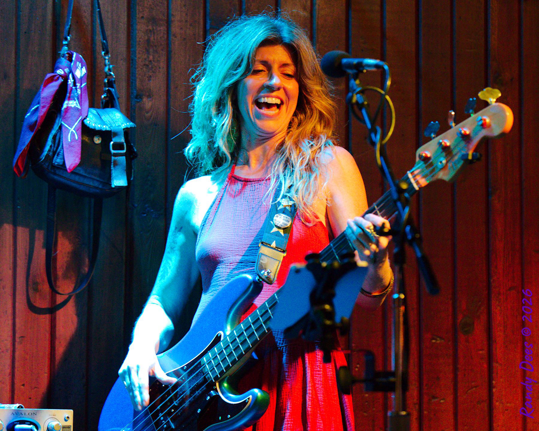 Sister Golden Hair the Band