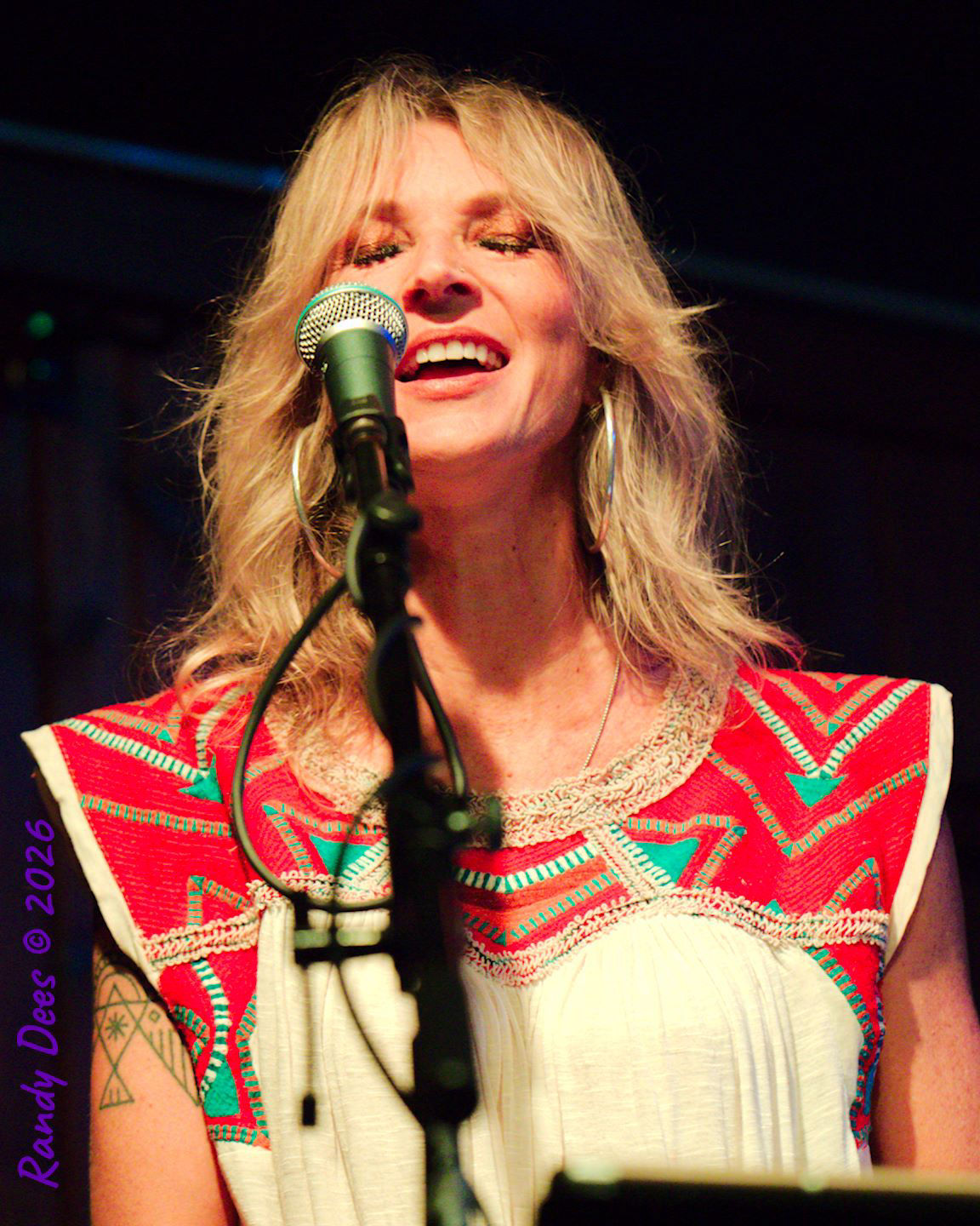 Sister Golden Hair the Band