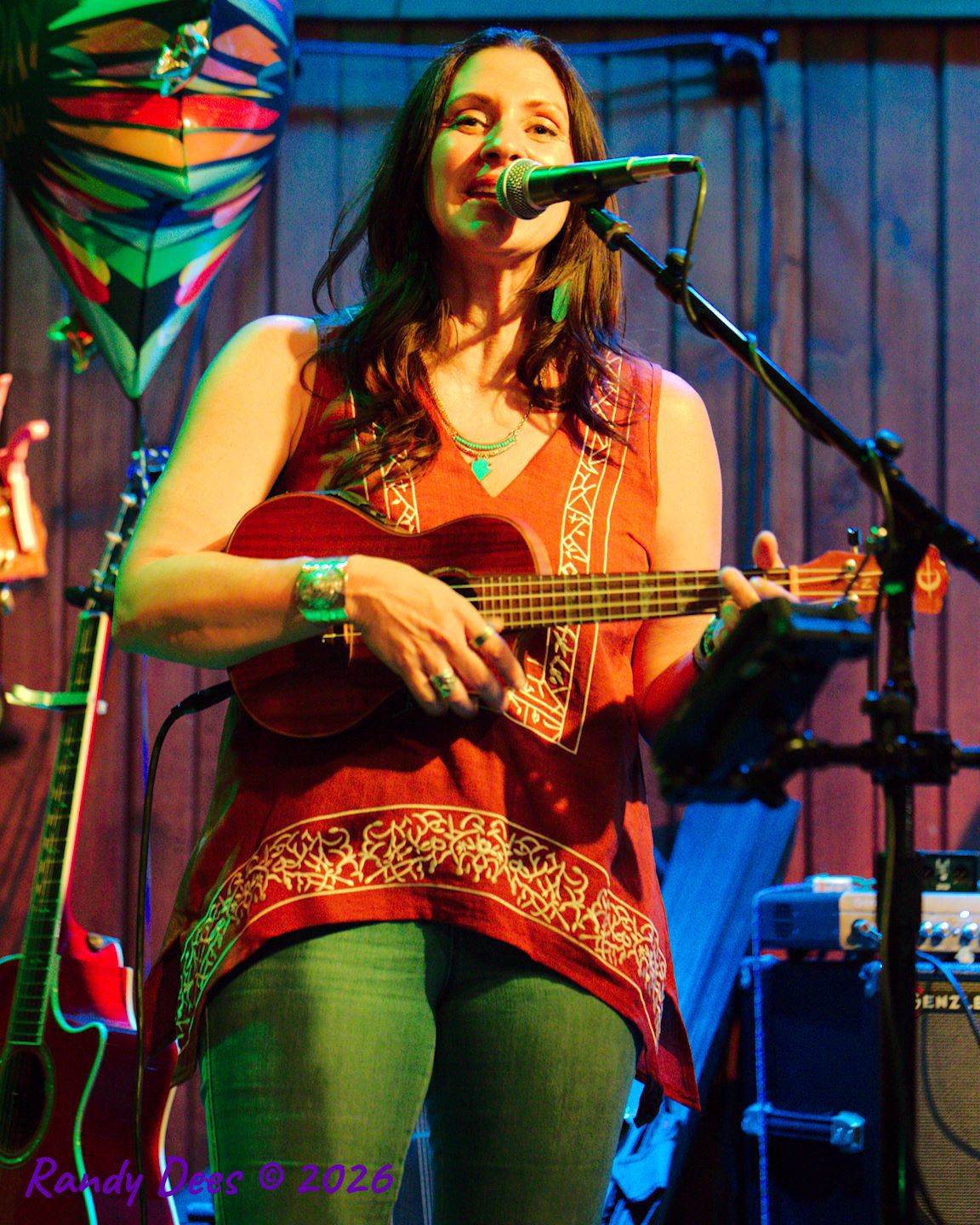 Sister Golden Hair the Band