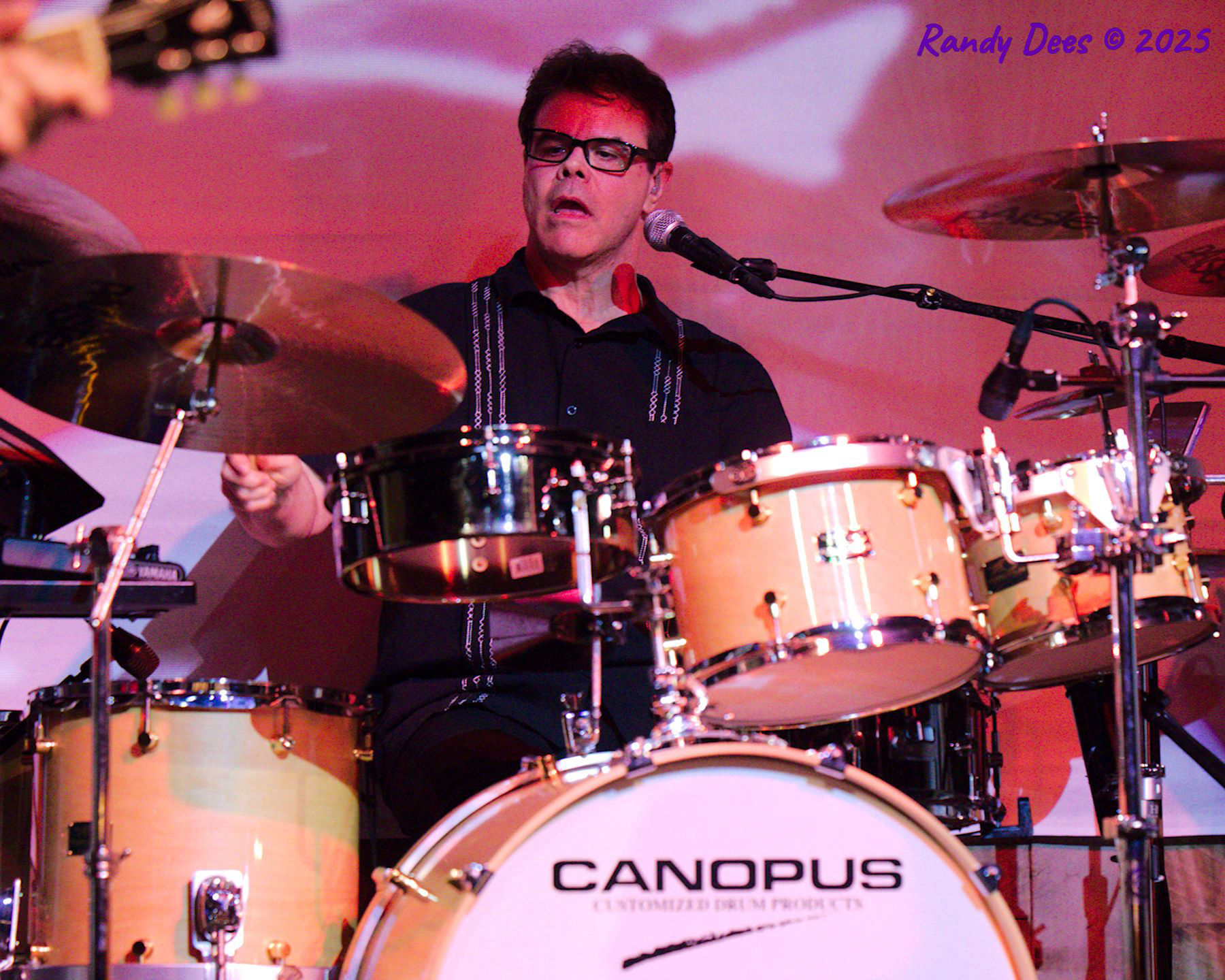 The Traveling Wilburys & Beyond