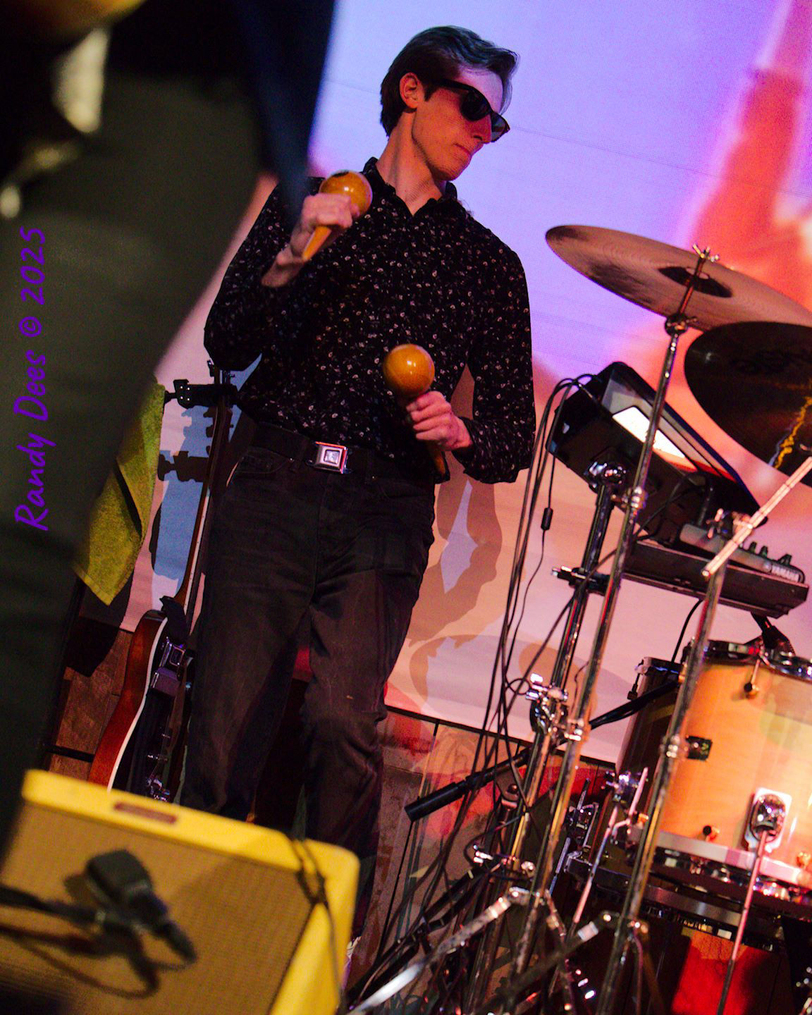 The Traveling Wilburys & Beyond