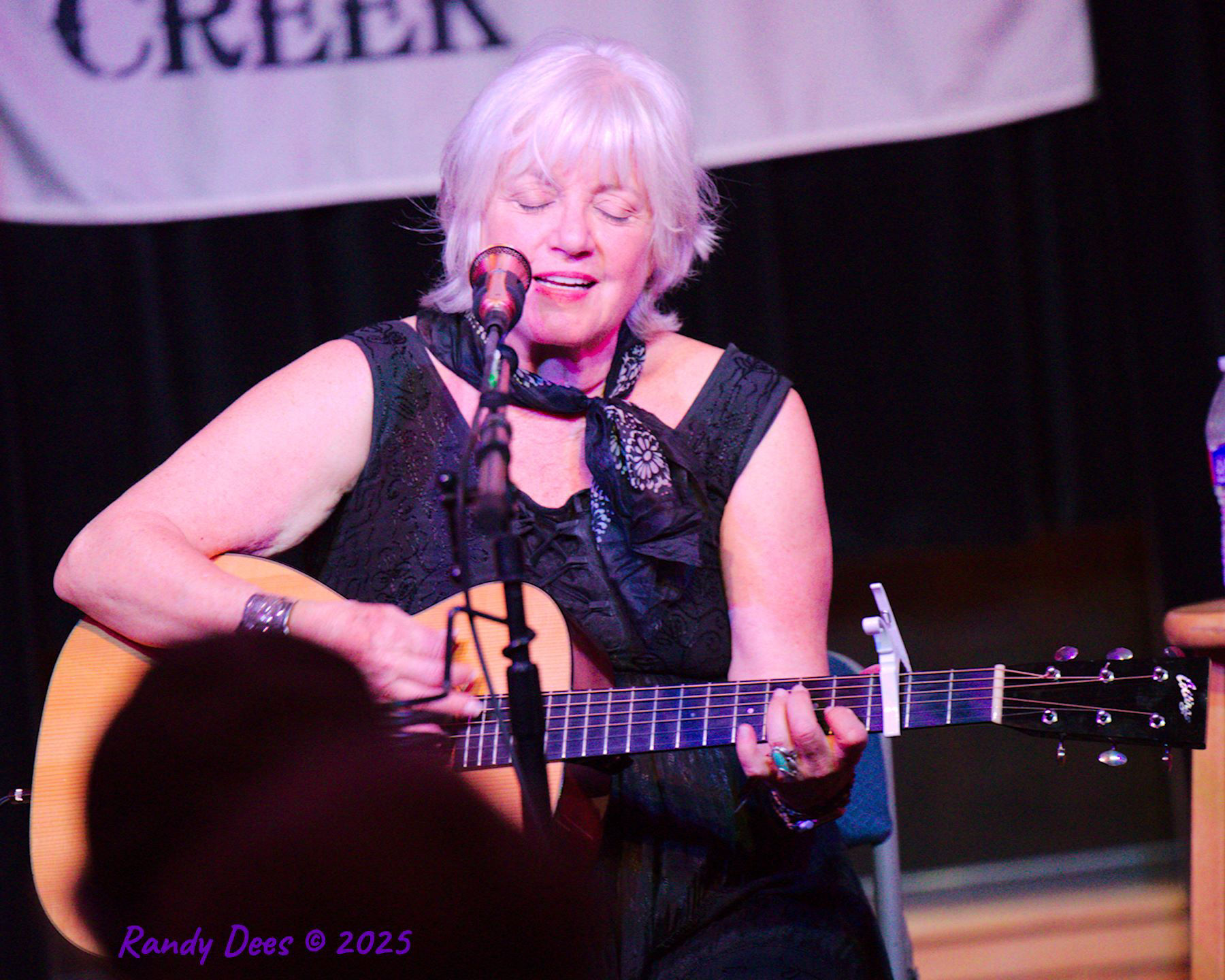 Sycamore Creek Concerts