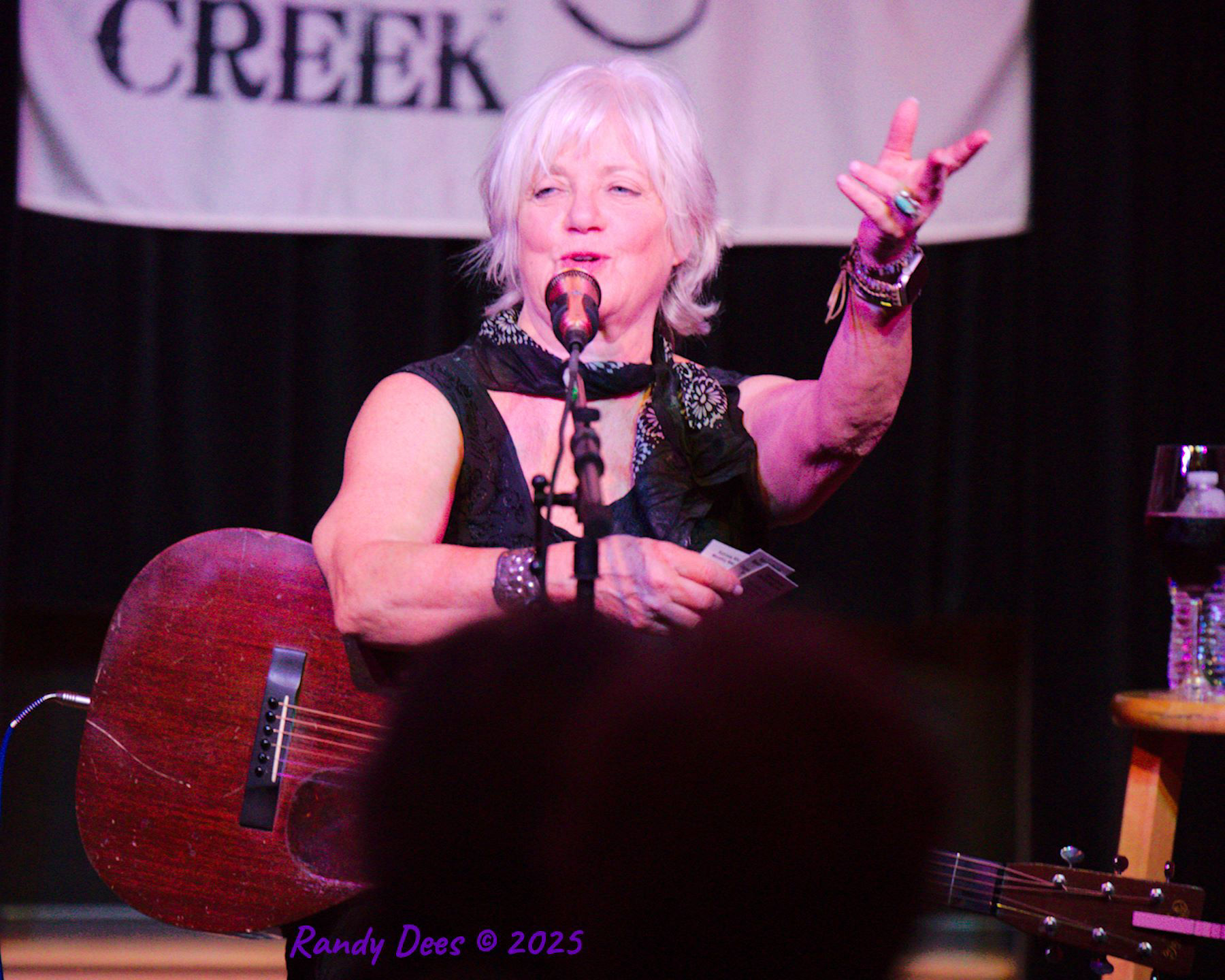 Sycamore Creek Concerts