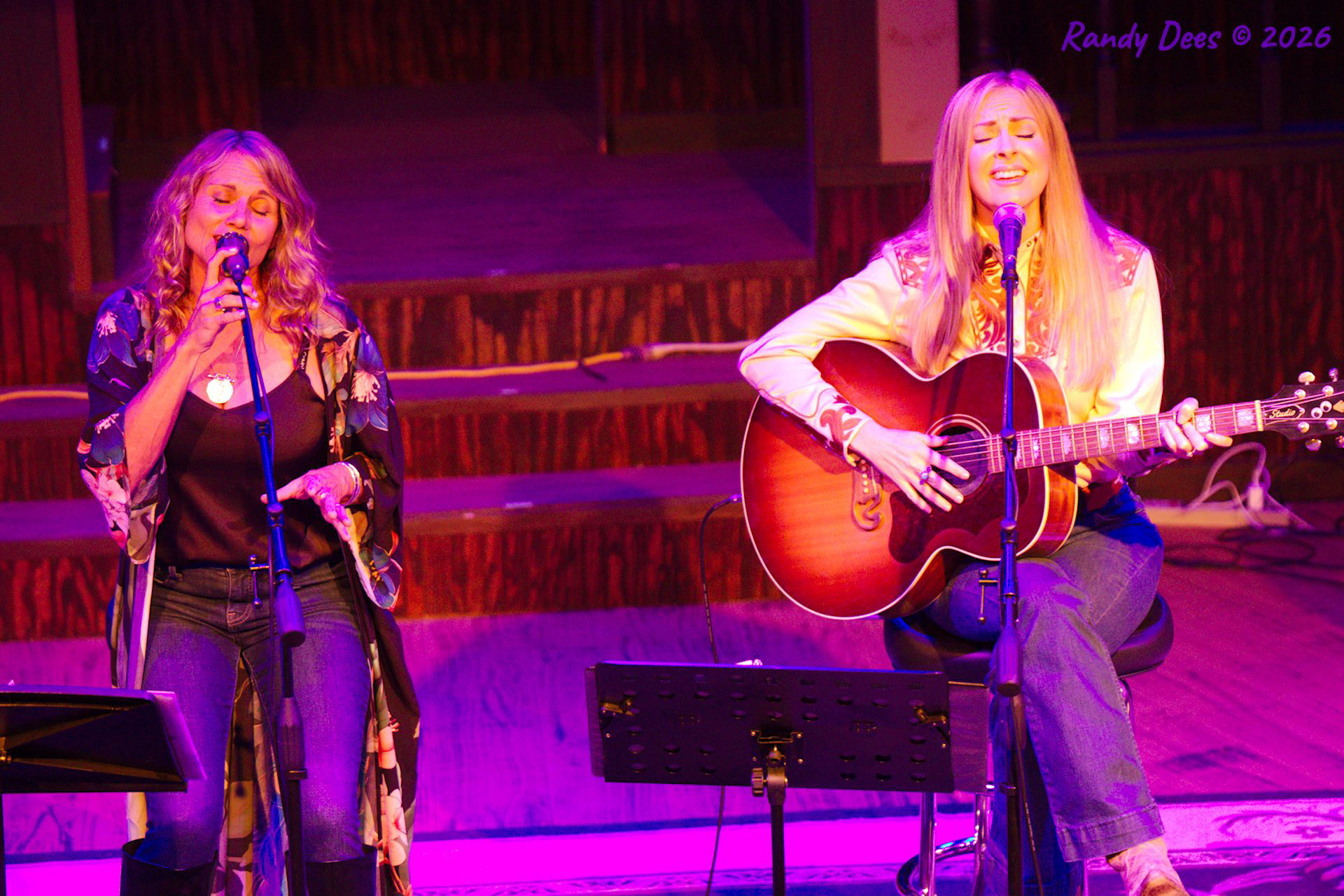 Stars Over Wimberley WinterNights