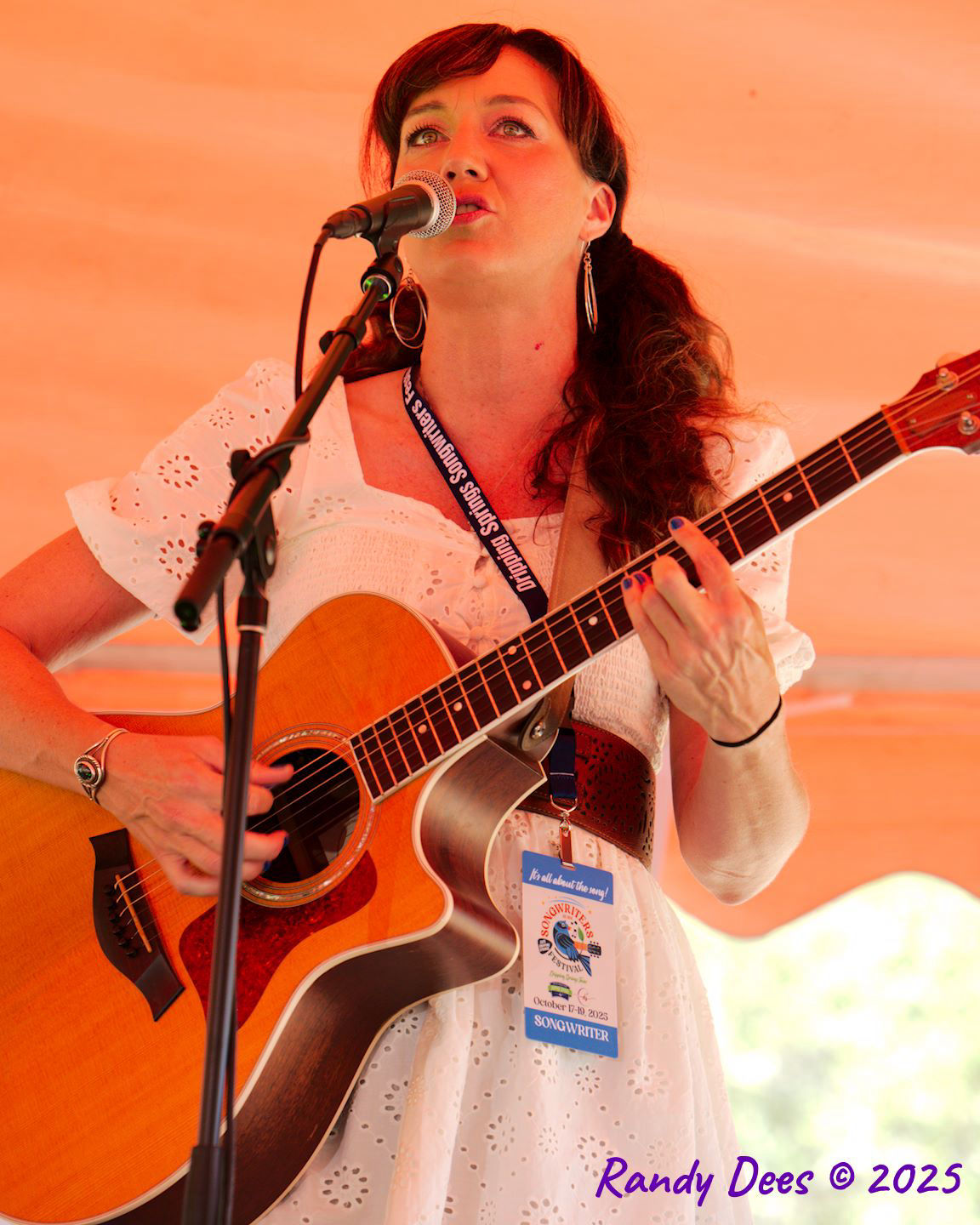 2025 Dripping Springs Songwriter Festival