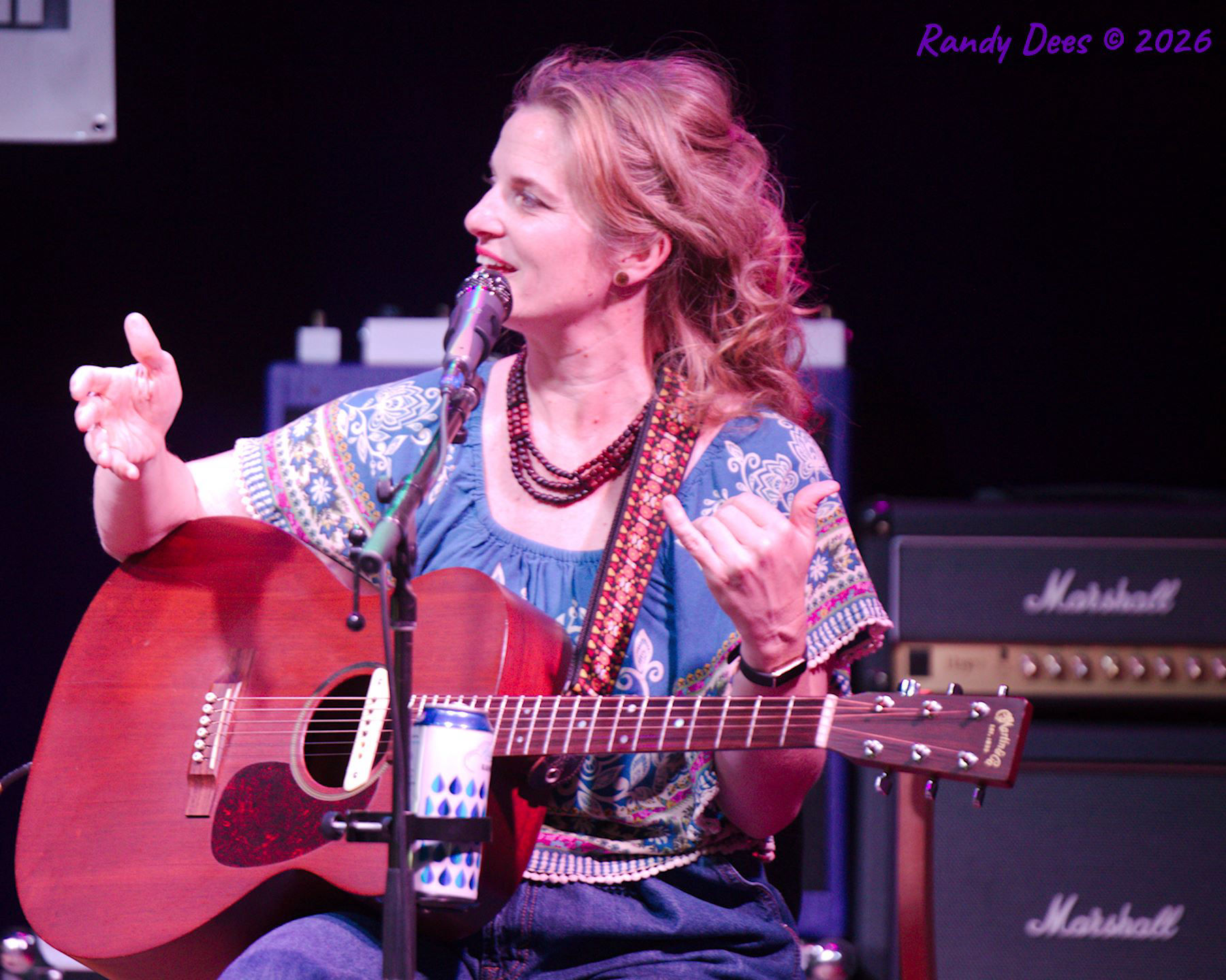 Cantina Sound House Concerts