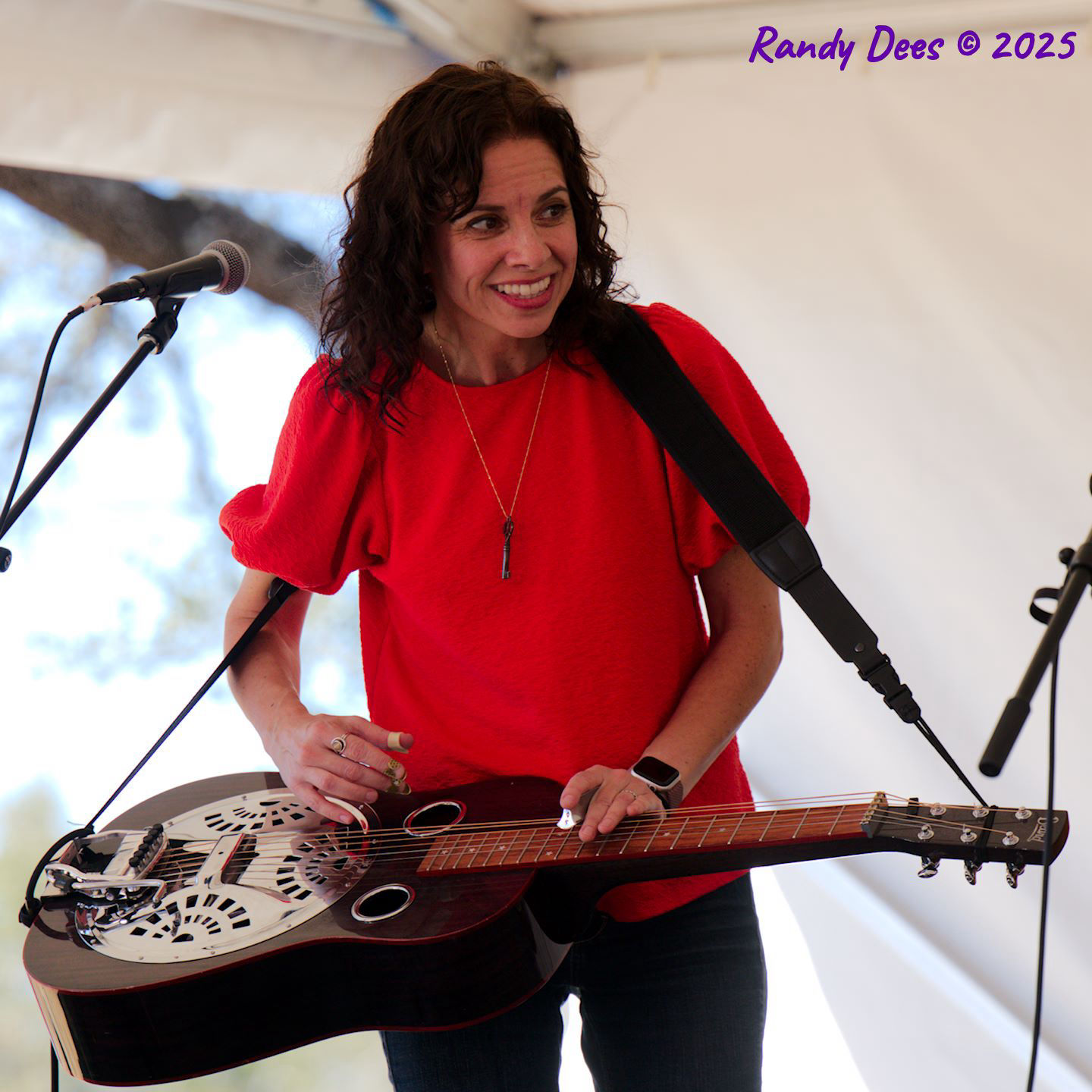 2025 Dripping Springs Songwriter Festival