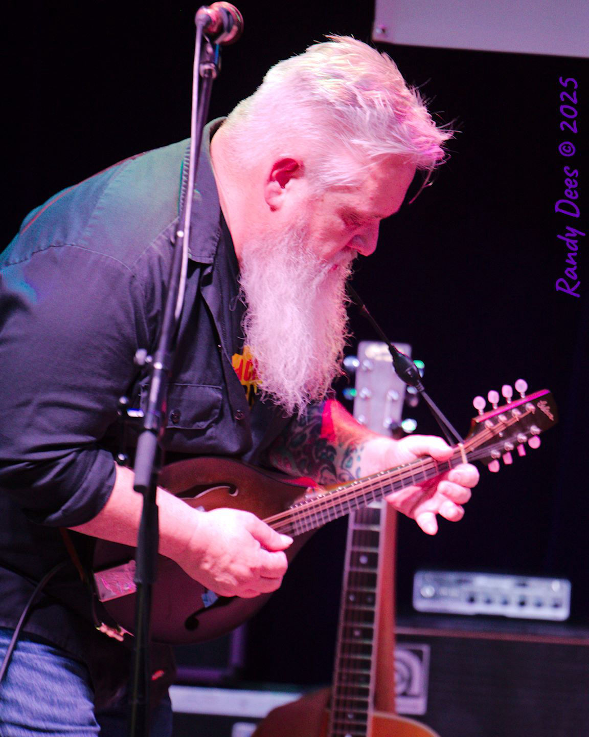 Cantina Sound House Concerts