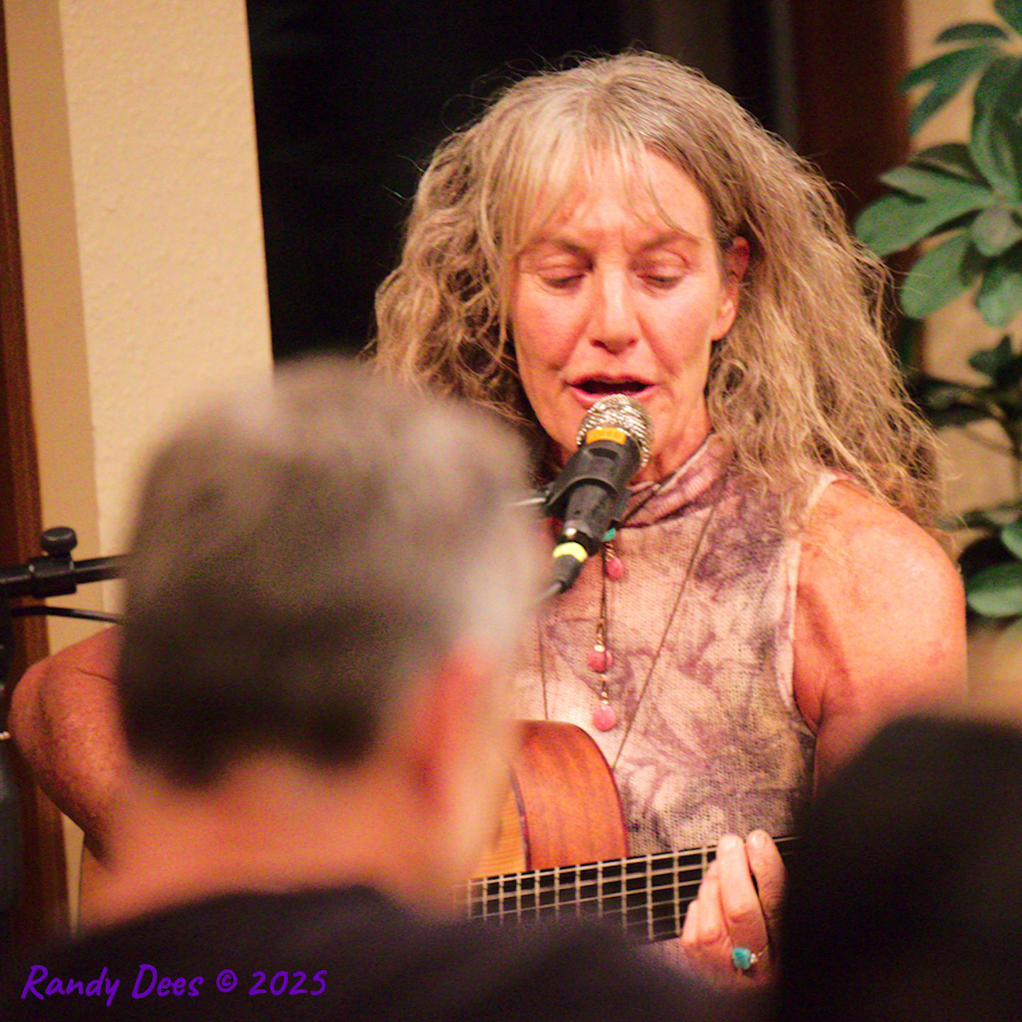 2025 Grassy Hill Kerrville Award Winner Concert