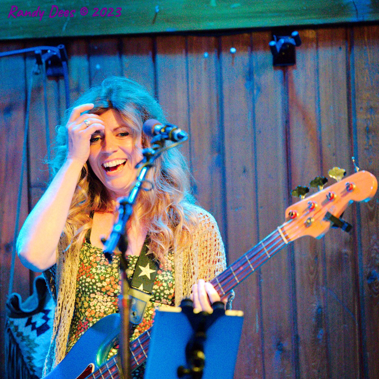 Sister Golden Hair the Band