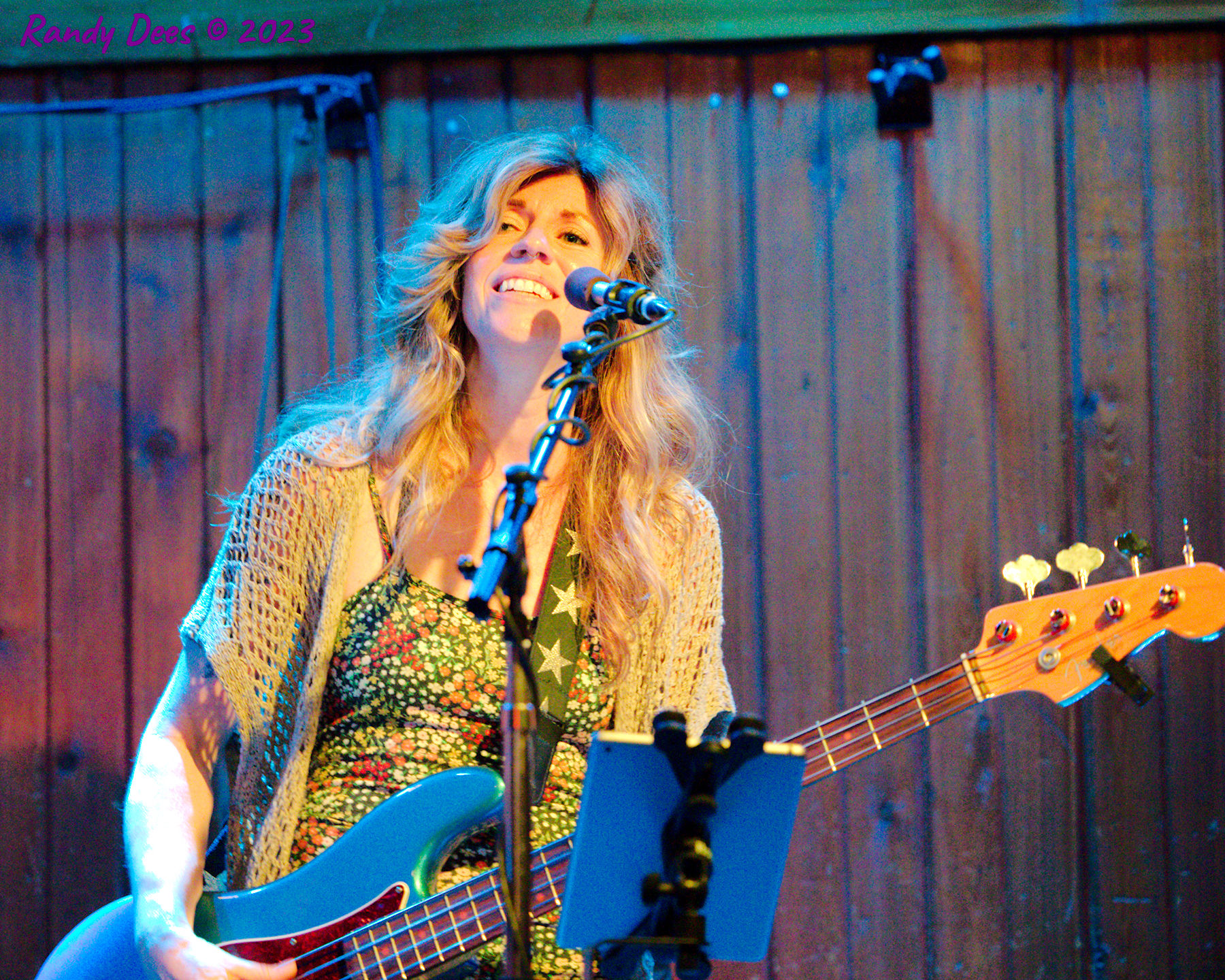 Sister Golden Hair the Band