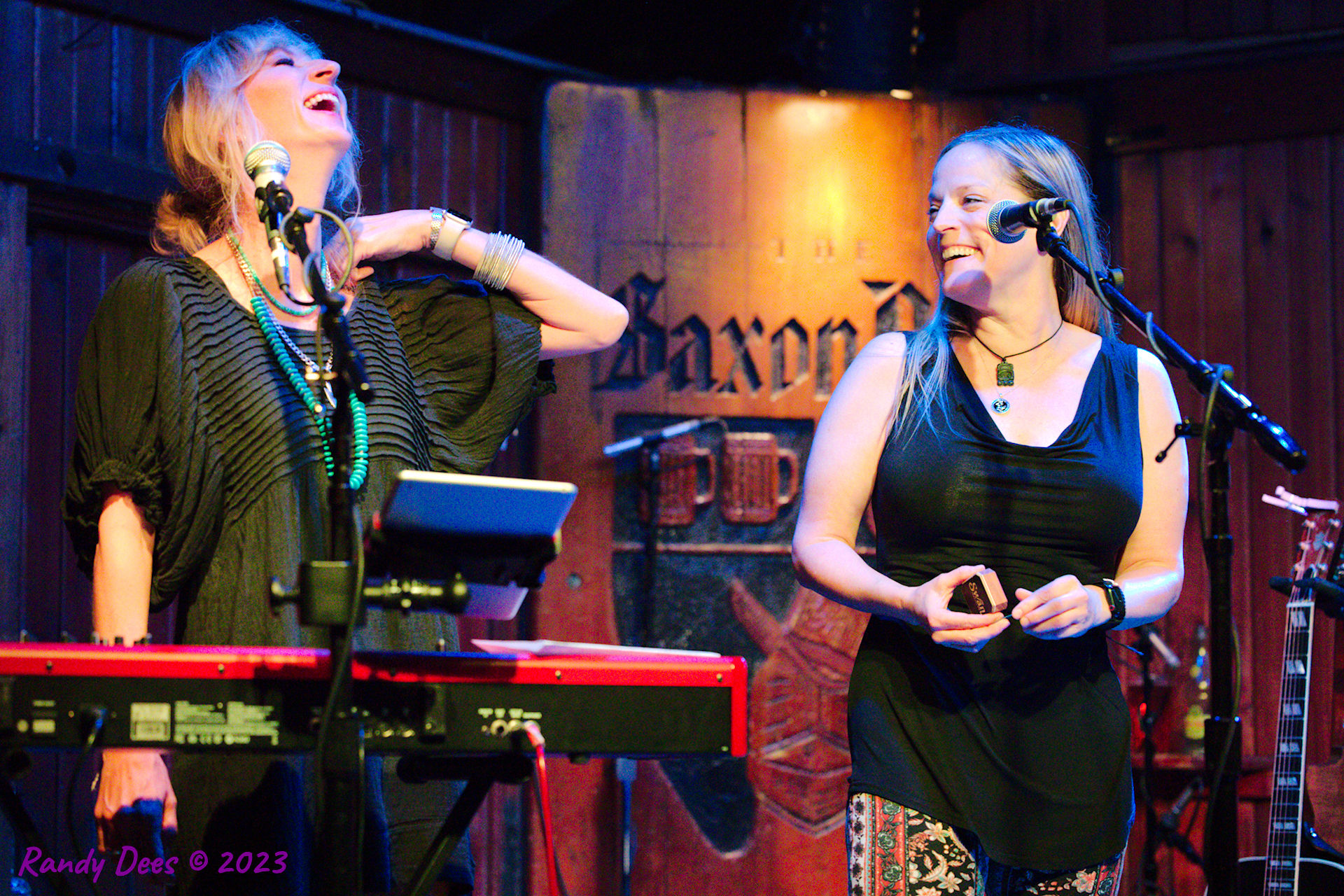 Sister Golden Hair the Band