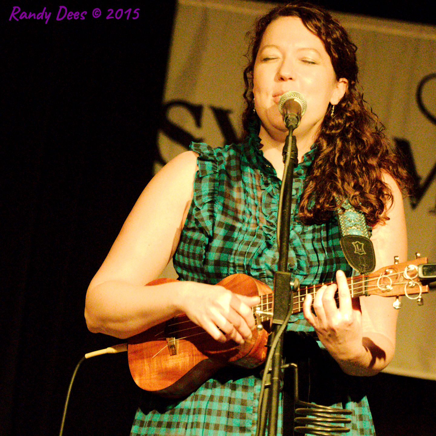 Sycamore Creek House Concerts