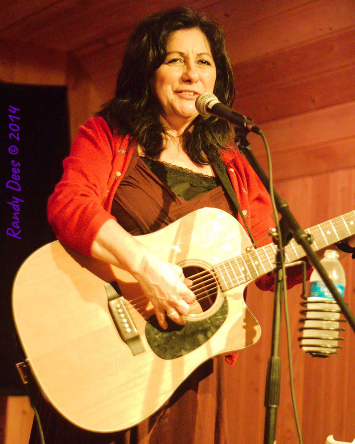 Sycamore Creek House Concerts