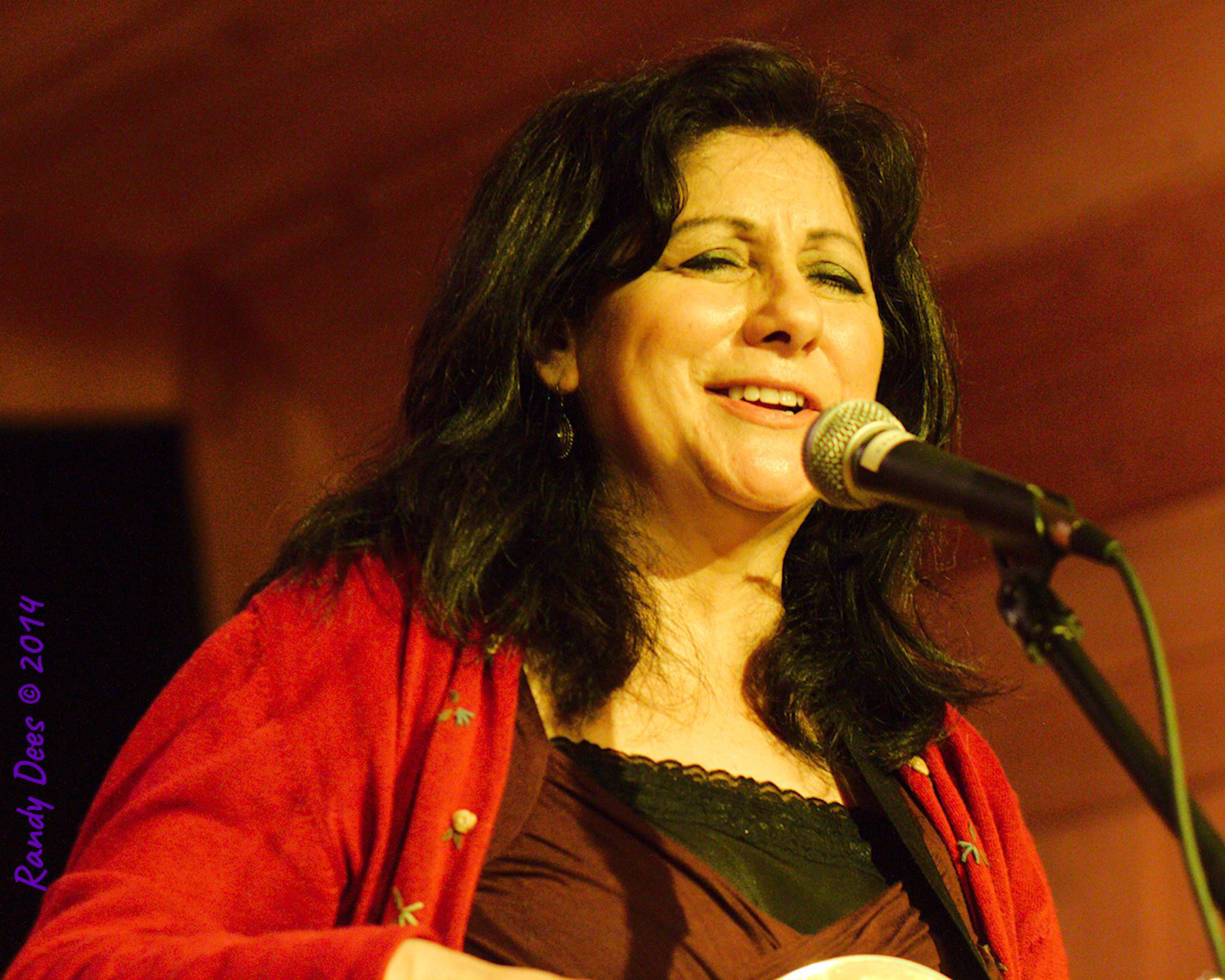 Sycamore Creek House Concerts