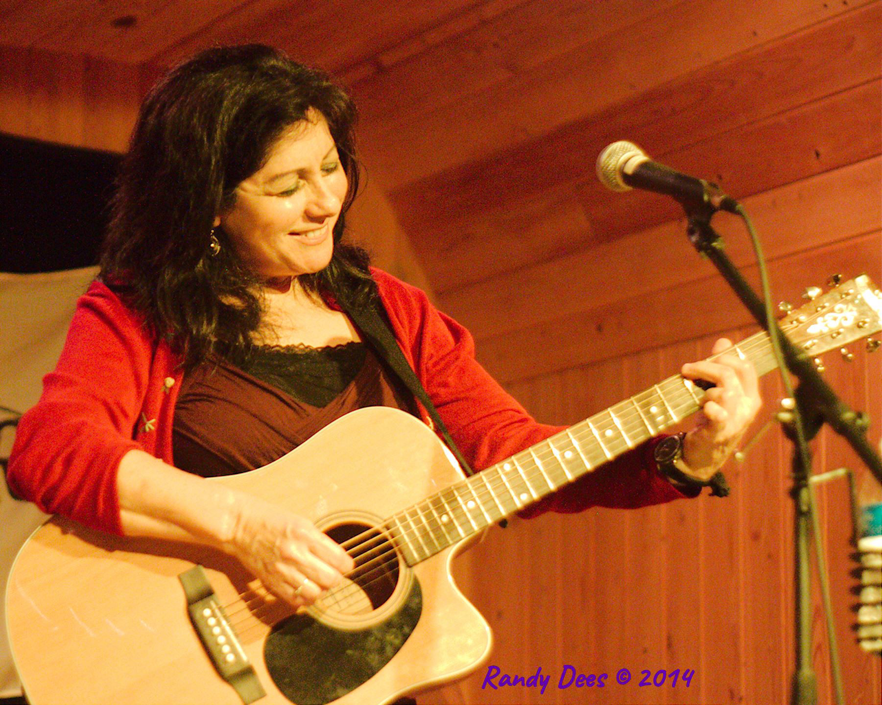 Sycamore Creek House Concerts