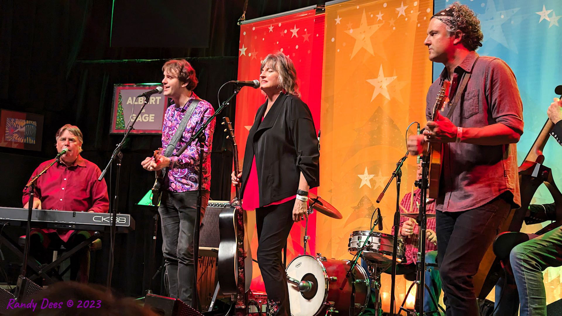 Armadillo Christmas Bazaar