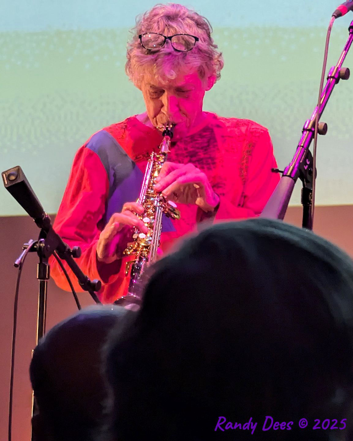 Townes Van Zandt Birthday Salute