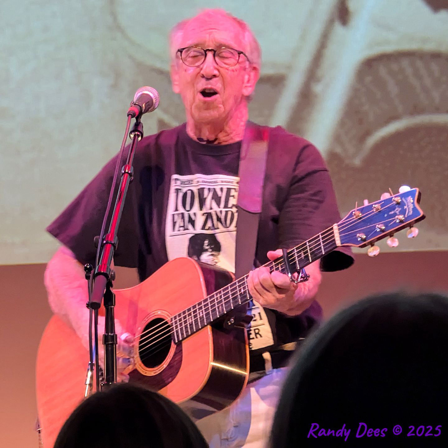 Townes Van Zandt Birthday Salute