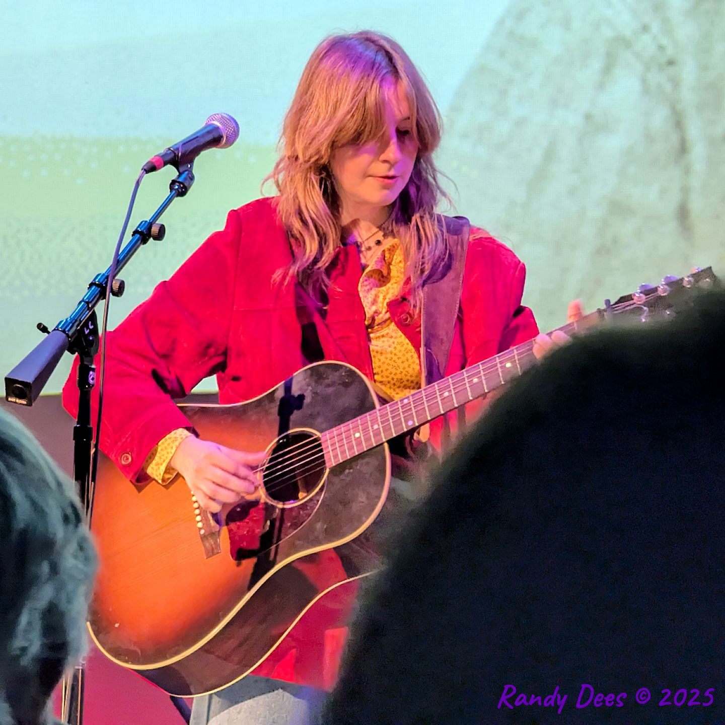 Townes Van Zandt Birthday Salute