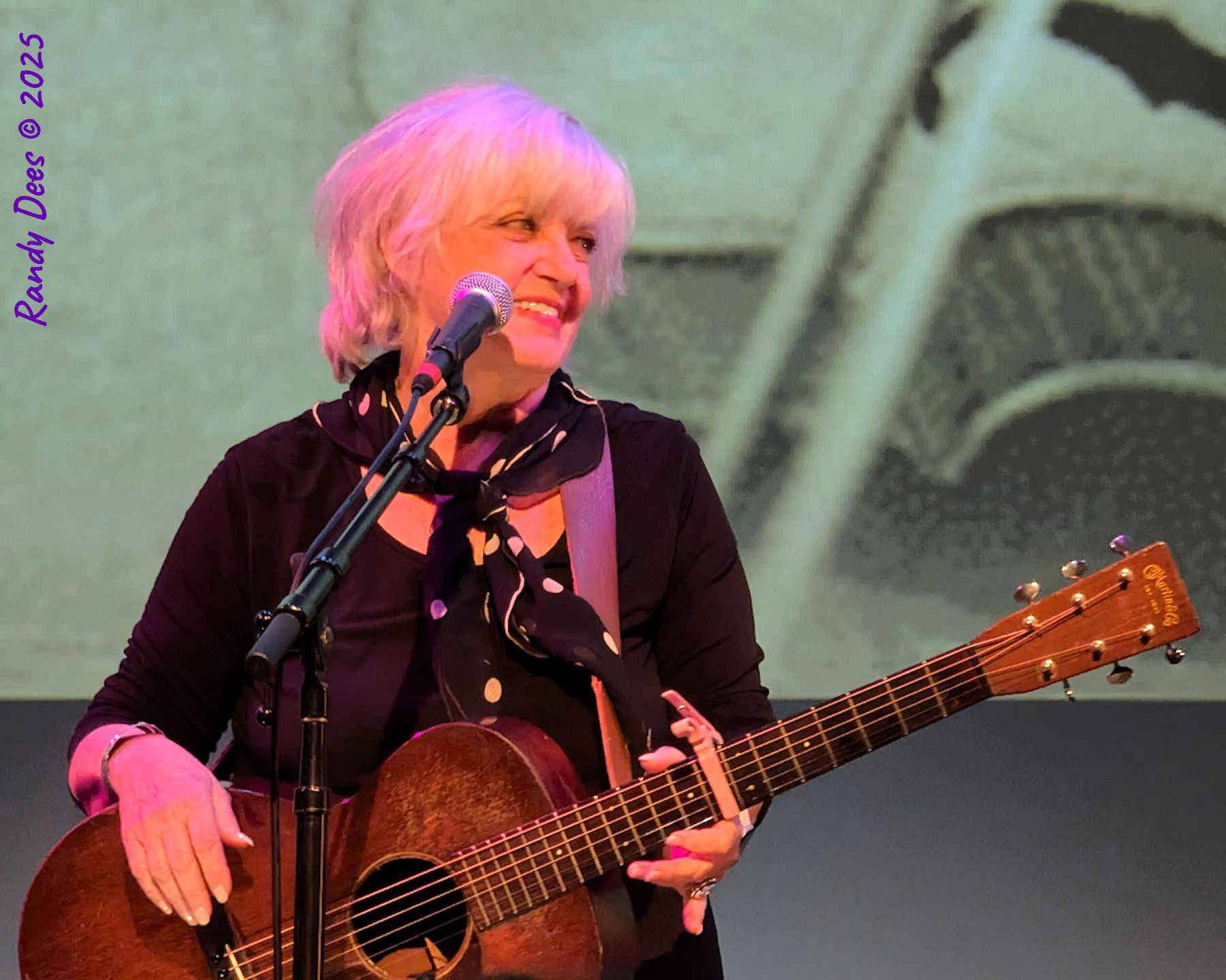 Townes Van Zandt Birthday Salute