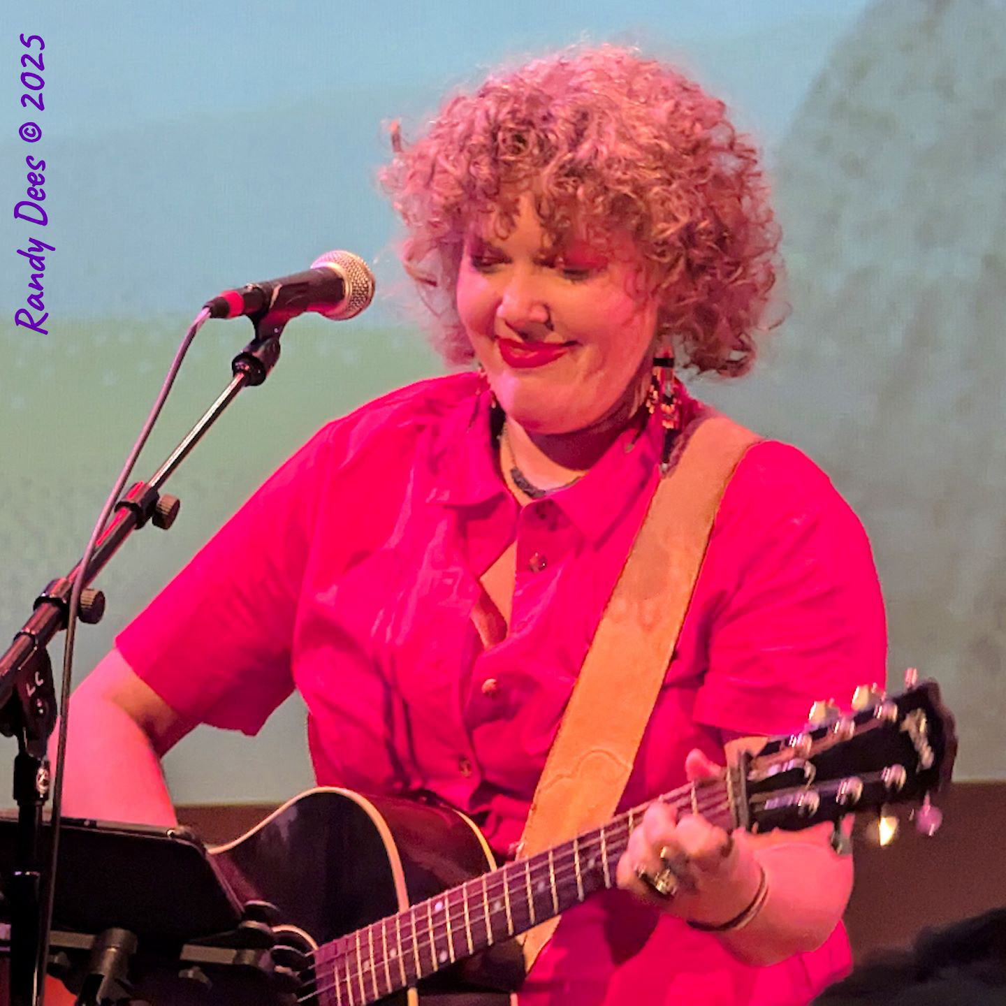 Townes Van Zandt Birthday Salute