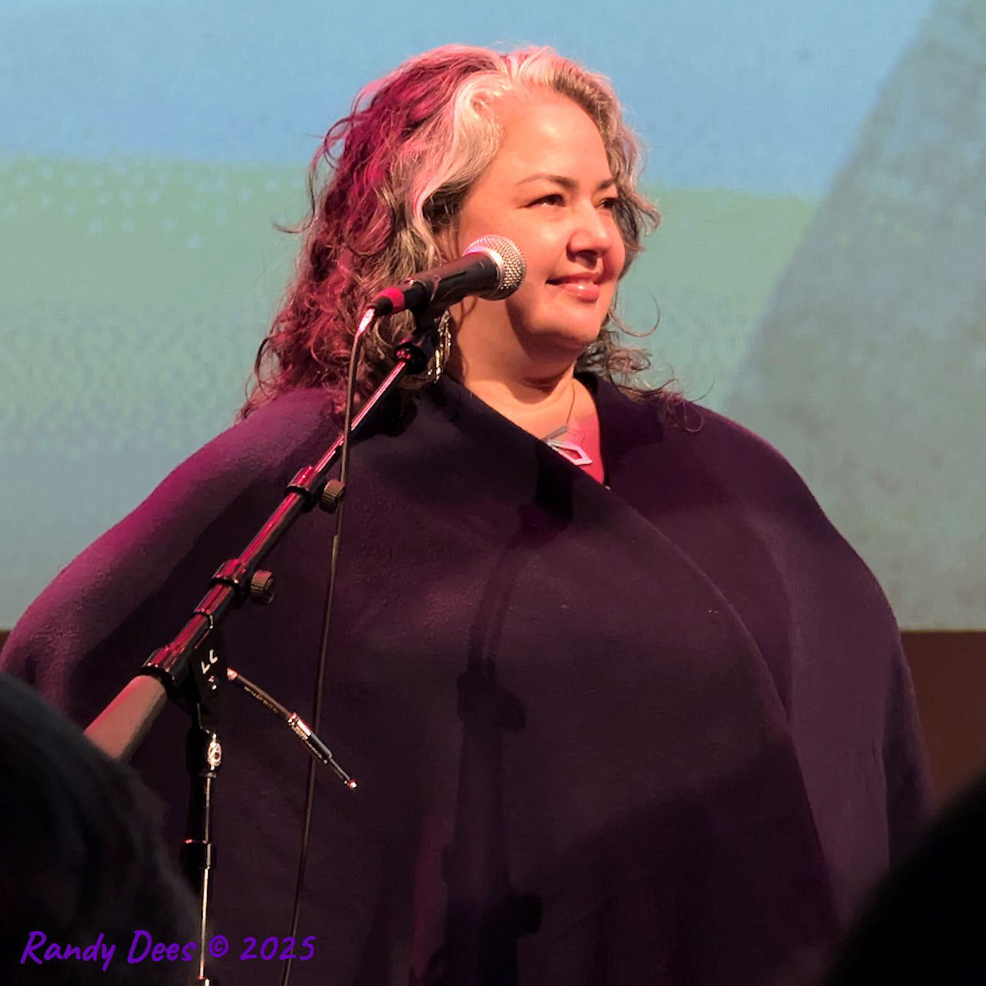 Townes Van Zandt Birthday Salute