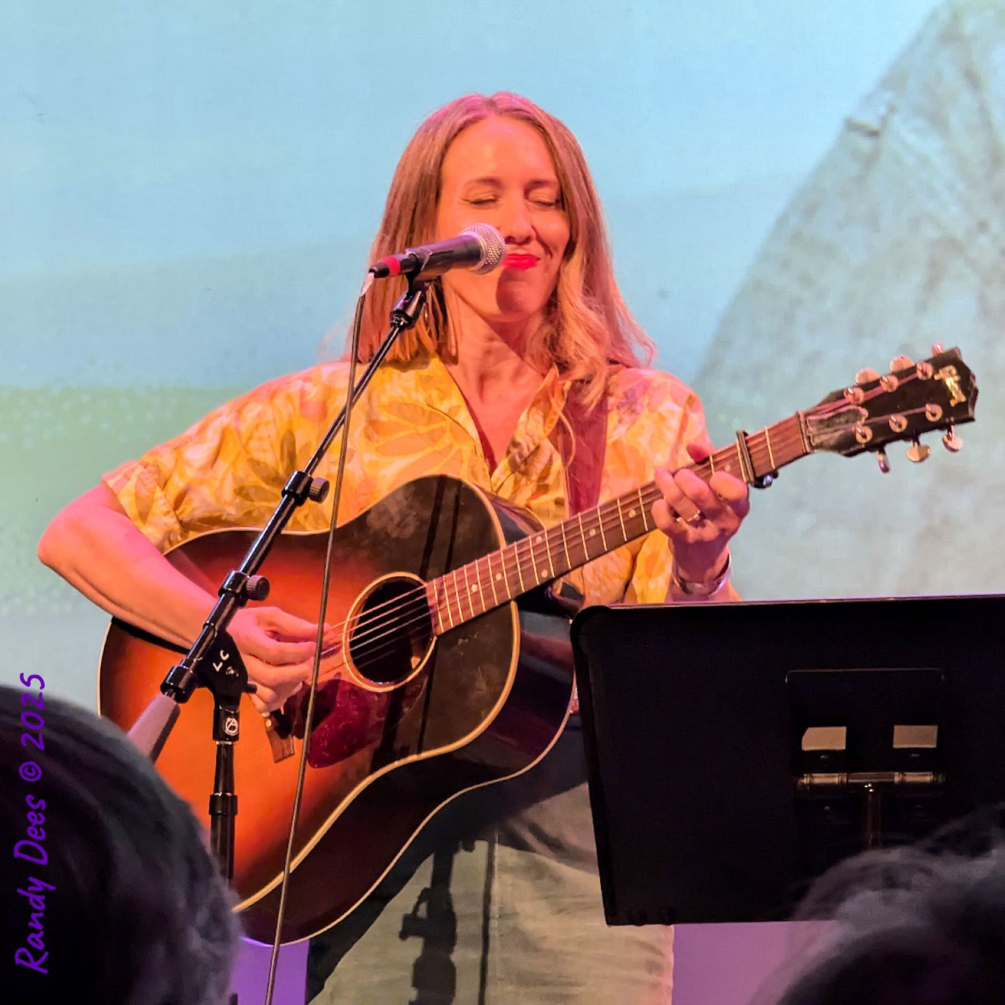 Townes Van Zandt Birthday Salute