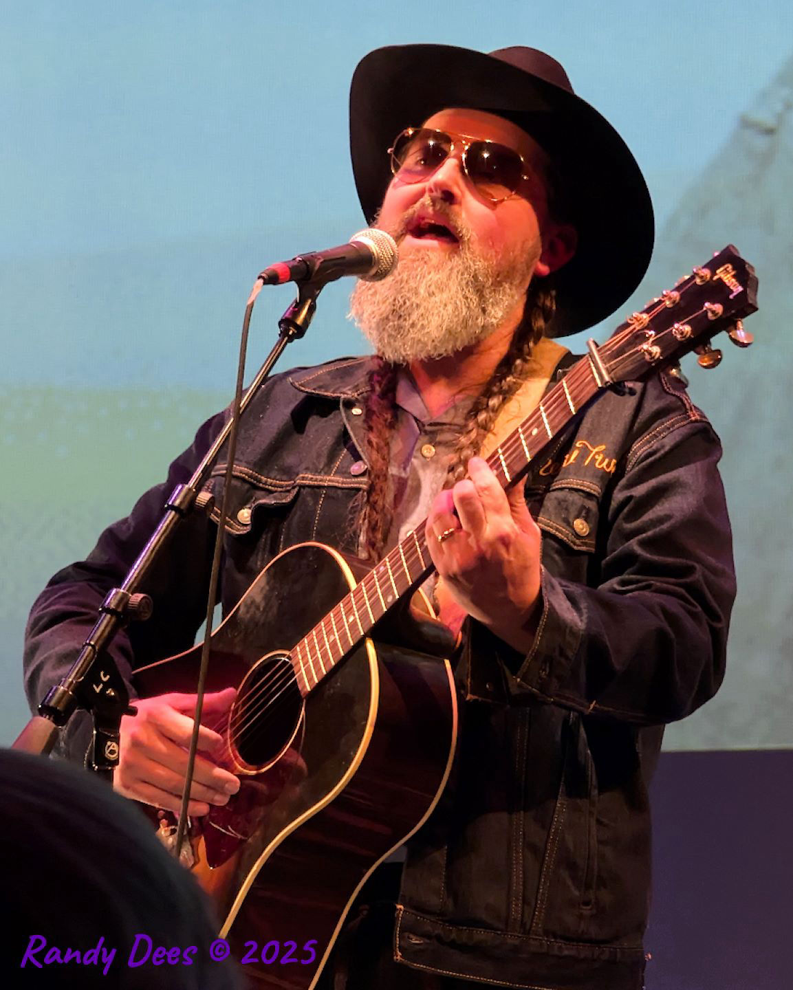 Townes Van Zandt Birthday Salute