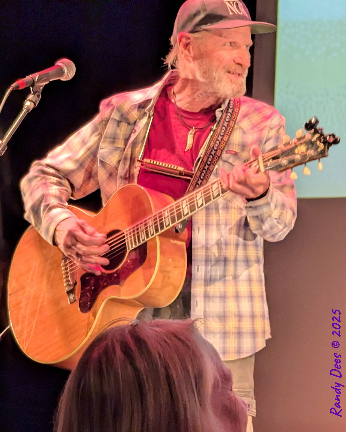 Townes Van Zandt Birthday Salute