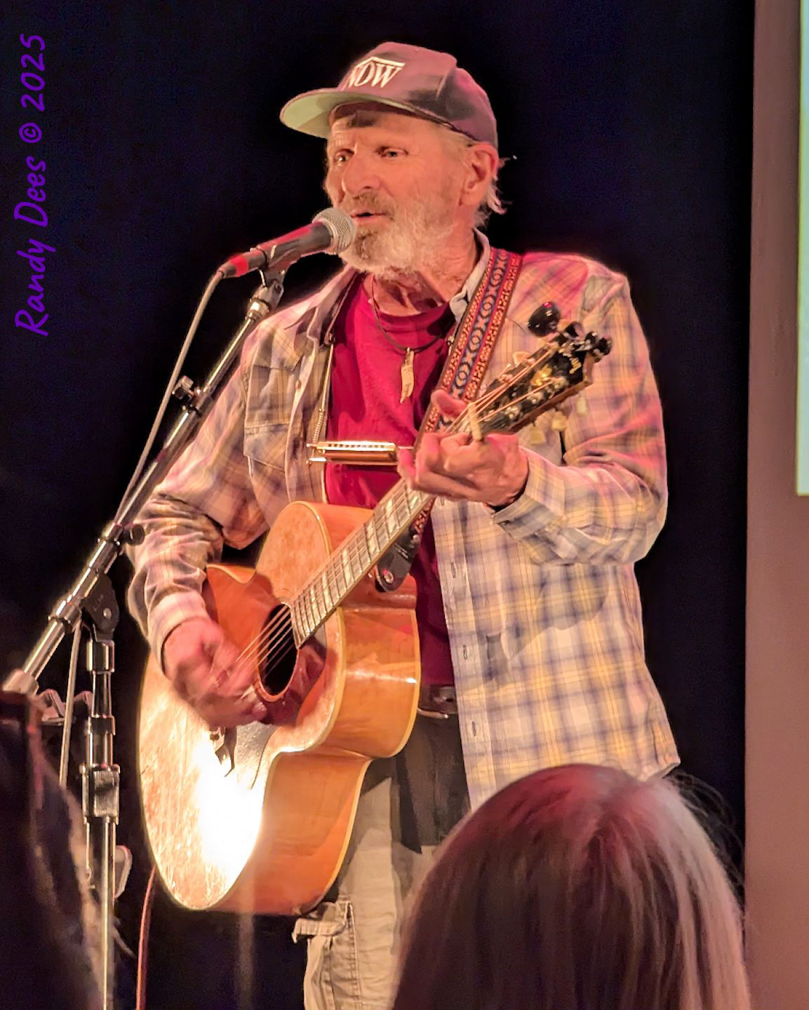 Townes Van Zandt Birthday Salute