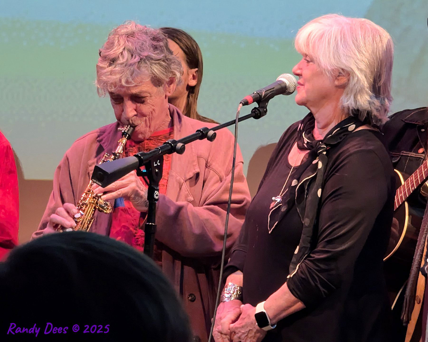 Townes Van Zandt Birthday Salute